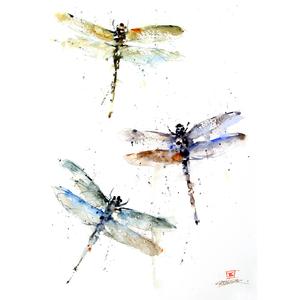 5 X 7" Greeting Card 'Dragonflies' Online Online With Mastercard