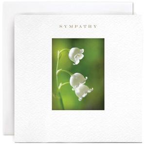 "Sympathy" Card | Susan O'Hanlon Clearance Deals