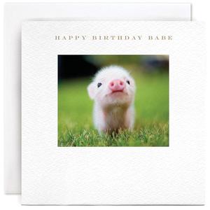 "Happy Birthday Babe" Card | Susan O'Hanlon Pictures Online