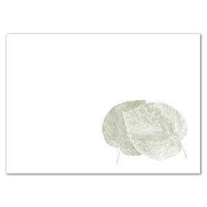 Silver Leaves Invitation Nicekicks