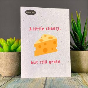 A Little Cheesy, But Still Grate Plantable Greeting Card Sale Cheapest Pice