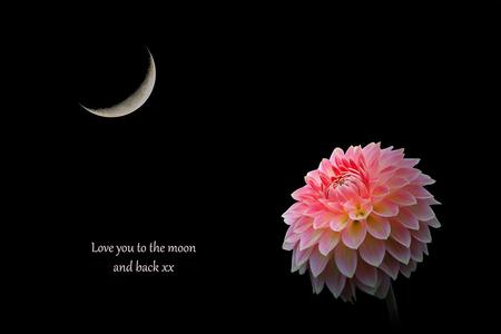 Gift Card - Love you to the moon and back Clearance Get Authentic