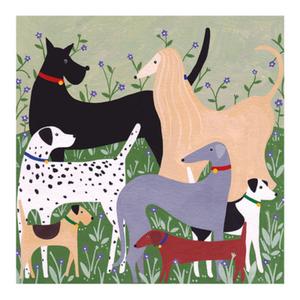Dog Meet Everyday Card Discount Outlet Store