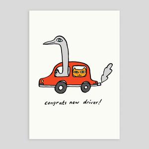 Molly Fairhurst For Wrap | Congrats New Driver Card Sale For Cheap