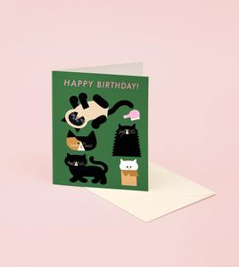 Playing Cats Birthday Card Outlet Clearance Store