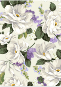 Belladonna Bouquet 120gsm A4 Paper Very Cheap Sale Online