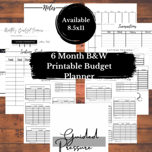 6 Month Black Paycheck To Paycheck Digital Budget Planner 8.5x11 Cheap Excellent