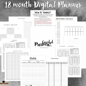 18-Month Digital Budget Planner Take Control of Your Finances! Outlet Free Shipping Authentic