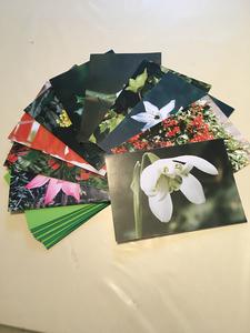 Winter Cards Collection - also supporting Ilkley Manor House View For Sale