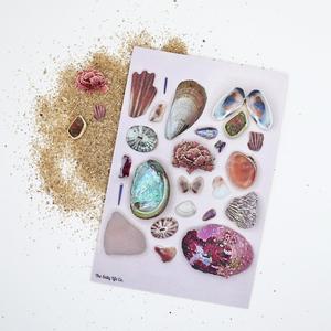 Pink Beach Treasures 4x6 Postcard With Paypal Low Pice