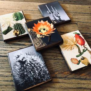 Botanical Cactus Key Hanger Good Selling Cheap Online