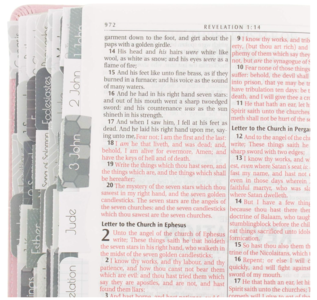 Books of the Bible Tabs - Gray Cheap Cost
