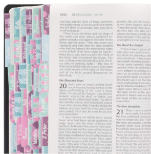 Books of the Bible Tabs - Multicolor Many Kinds Of Cheap Pice