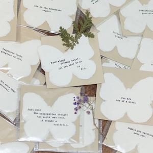 Butterfly Shaped Cards - 25 Designs Classic