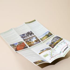 12pp DL Brochure / Pamphlet 2025 New Cheap Pice