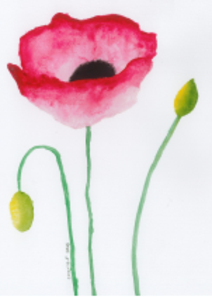 'Poppy' Card Online Cheap Pice