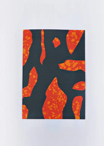 Agenda Non-Dat A4 The Completist With Mastercard For Sale