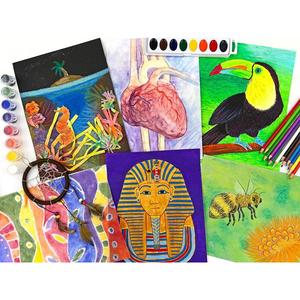Homeschool Art Super Bundle A and B Outlet 2025 Unisex