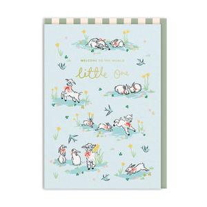 Cath Kidston Hello Little One Lambs Greeting Card Cheap Low Cost
