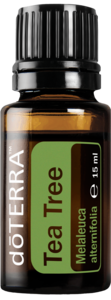 Melaleuca - Tea Tree Oil Really For Sale