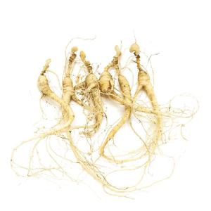 Fresh Panax (Asian) Ginseng Outlet Online Shop
