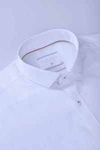White with Gold Solid-Full-Stain Proof Free Shipping Cheap Online