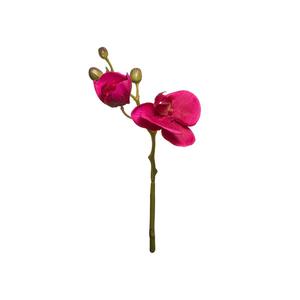 Forever Orkid small Outlet Discount Sale