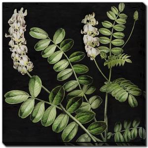 Botanical Greens II Outlet Best Seller
