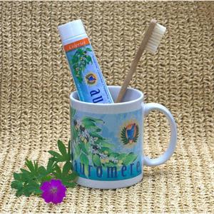 Auromere Ayurvedic Herbal Toothpaste Fresh Mint Outlet Pices