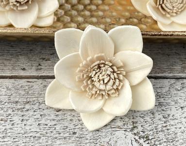 Buttercup - 1 Dozen Affordable Online