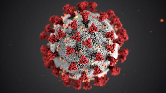 Bacterial Infections With Paypal Cheap Pice
