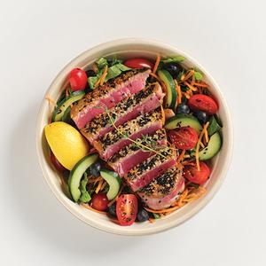 Paleo - 1 Meal Daily (12 Week) Where To Buy Low Pice