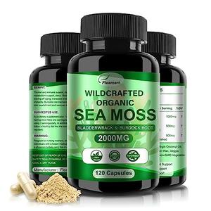 Fleamart 2 Pack Irish Sea Moss Capsules 120ct Raw Organic Sea Moss Wildcrafted Bladderwrack Burdock Root Capsules Super Food Immune System Digestive Health Sea Moss Pills Discount Classic