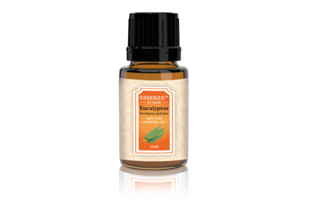 Eucalyptus (Eucalyptus globulus) from Kenya 2025 Cheap Online