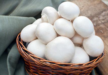 Button Mushrooms from Zimbabwe Factory Outlet For Sale