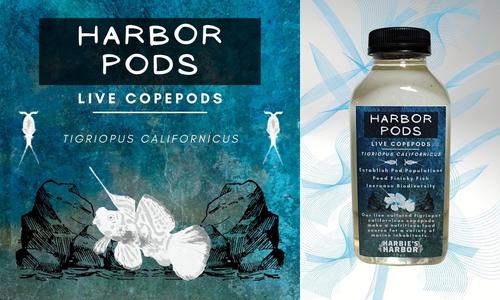 Harbor Pods Outlet New Arrival
