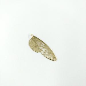 Aile insecte Sale Huge Surprise
