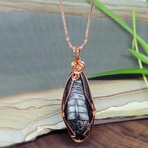 Orthoceras Pendant Low Shipping Cheap Pice
