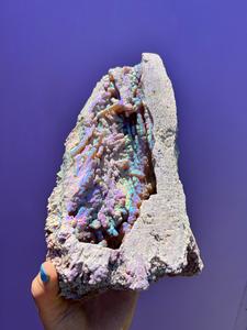 Aura FossilizedCoral no.4 Wide Range Of Cheap Online