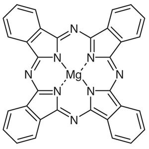 Magnesium(II) Phthalocyanine, 1G - P1018-1G Latest Collections Cheap Pice
