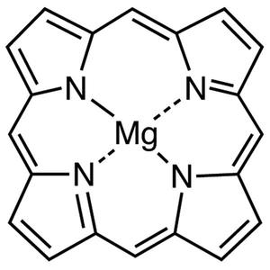 Magnesium Porphyrin, 100MG - M2209-100MG Cheap Sale Fashionable