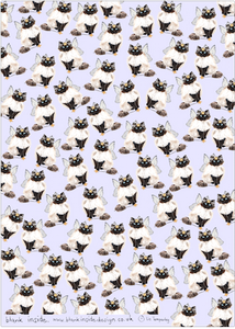 Fairy Cat Eco-Friendly Recycled Wrapping Paper Clearance Fake
