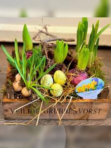Easter Box Tray With Paypal Cheap Pice