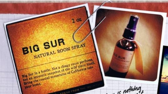 Big Sur Natural Room Spray Free Shipping Real