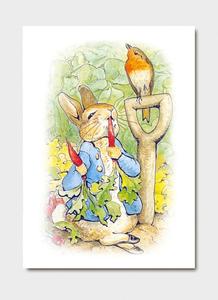 Beatrix Potter Card - Peter Rabbit 6540 Buy Cheap Visit New
