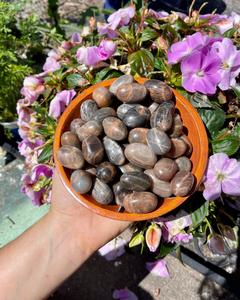 Black Moonstone Tumbles Sale Lowest Pice