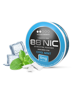 88 Nic Cool Mint Nicotine Pouches Buy Cheap 2025 Newest