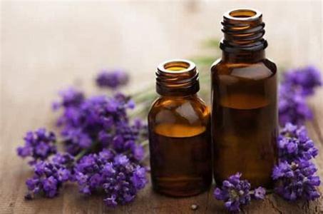Lavender Essential Oil (40/42) Sale Manchester