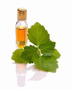 Patchouli Essential Oil Affordable Cheap Pice