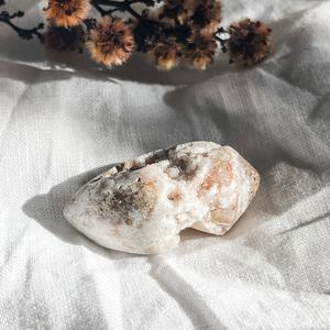 spiralite shell with druzy quartz 6 Recommend Online